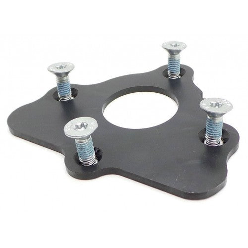 LS Cam Retaining Plate Kit